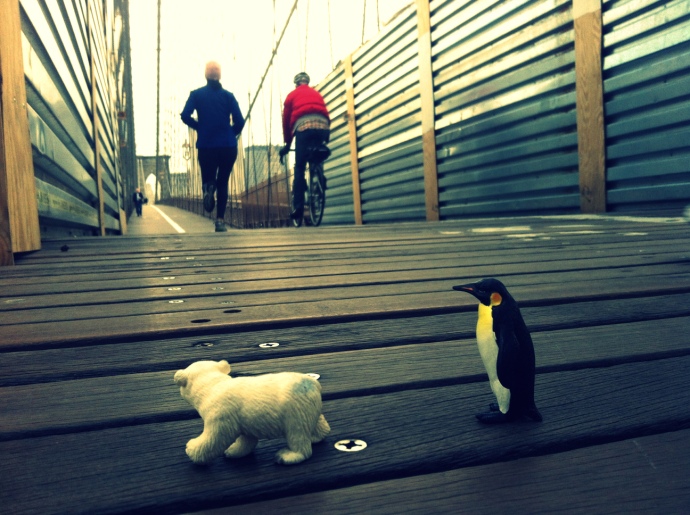 brooklyn bridge, polar bear, penguin