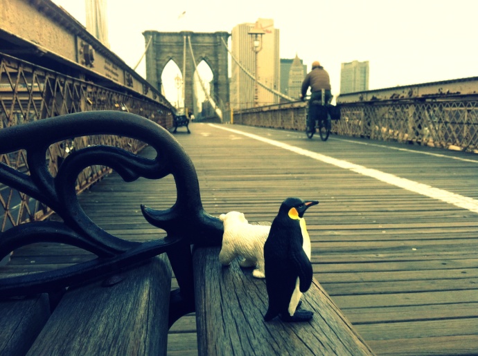 brooklyn bridge, penguin, polar bear, bicycle, new york city
